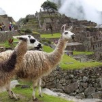 En Cusco presentan publicaciones por centenario de Machu Picchu