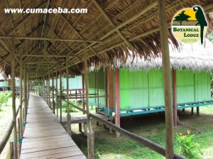 Vista de uno de los pasadizos del Botanical Lodge.