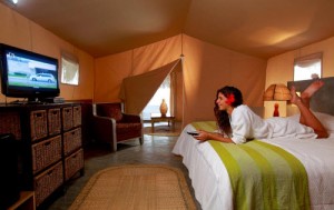 Vista interior de la Carpa Beduina Suite en Hotel Vichayito Bungalows y Carpas