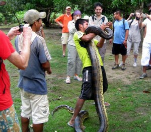 Viajeros sorprendidos en la exhibición de una Anaconda. Foto Cumaceba Lodge.