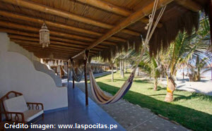 Foto de los jardines del Hotel Las Pocitas en Piura