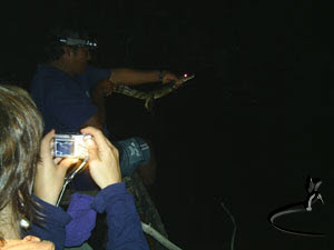 Paseo de noche en canoa para escuchar el sonido de la naturaleza