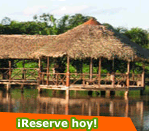 Agencia de viajes en Perú con paquetes a Pucallpa en la selva peruana