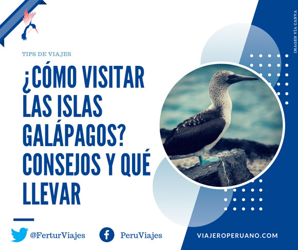 Cómo visitar Islas Galápagos: Consejos y Qué llevar