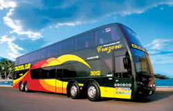 Seguros y confortables buses Cruz del Sur - Flota Cruzero