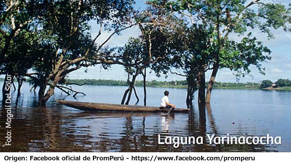 Turismo en la Laguna Yarinacocha, selva de Perú