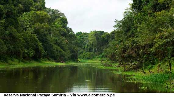 Importancia de la Reserva Nacional Pacaya Samiria