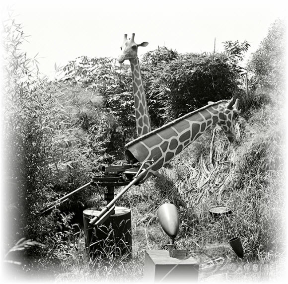 Imágenes nunca antes vistas de los inicios de Disneylandia Fotos históricas de la construcción de Disney