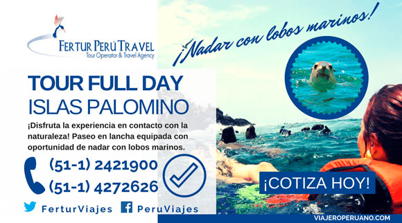 Tour Islas Palomino en el Callao, con paseo en lancha y nado con lobos marinos. Consulta precios