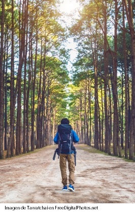 Hombre haciendo caminatas hiking en un bosque
