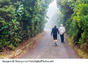 Caminantes cruzando sendero en medio de la vegetación